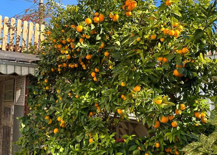 House Isabel Apartmán *